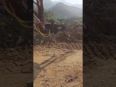 ไฮดรอลิกแบบ วูยิง จับเครื่องขุด เครื่องขุดไม้ 5 เงือก ชุดสําหรับเครื่องขุด